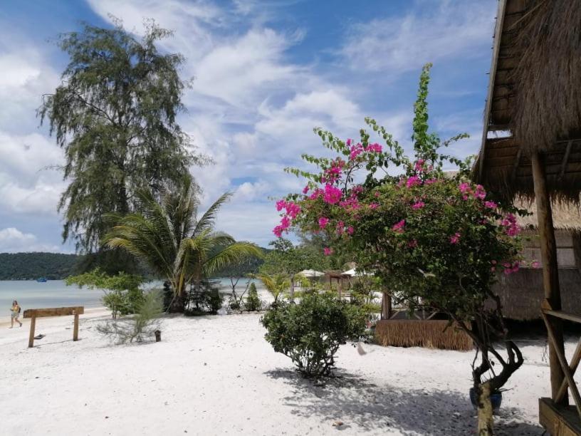 Green Blue Beach Hostel Koh Rong Sanloem Dış mekan fotoğraf